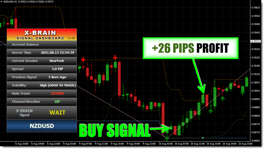 The-X-Brain-Method-Forex-System-Review-screenshot4