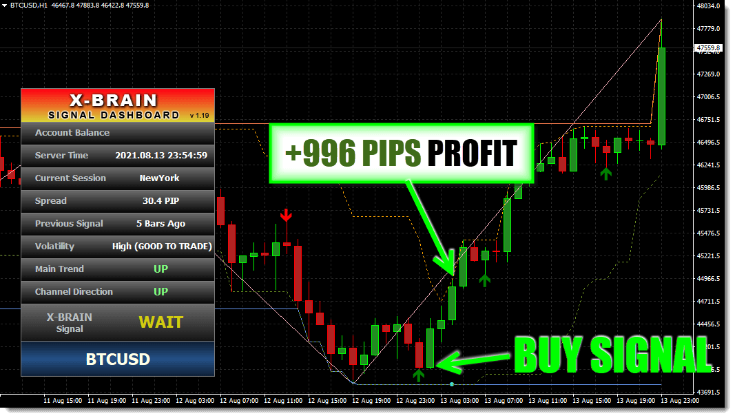 The-X-Brain-Method-Forex-System-Review-screenshot6
