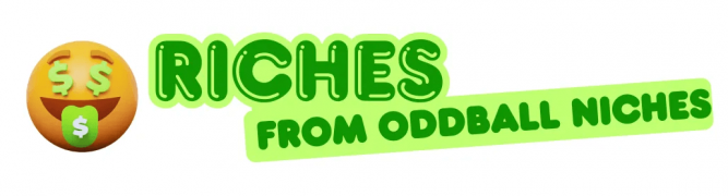 Riches-From-Oddball-Niches-Review.