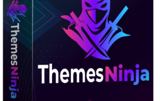 Themes-Ninja-Review.