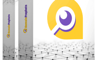 DomainProphets-Review.