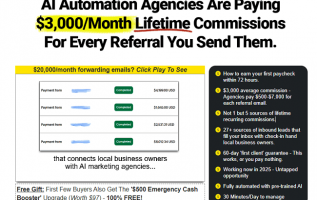 Effortless-AI-Agency-Review.