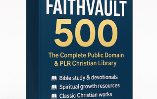 FaithVault-500-Review