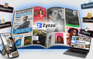 Zynzo-AI-Review.